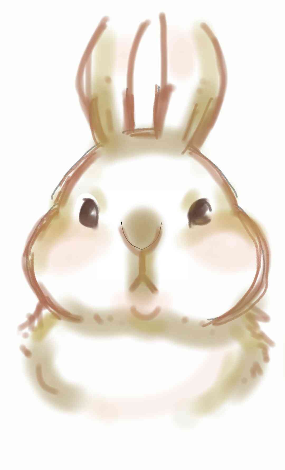 この顔の輪郭に描き足してください(お絵描き)