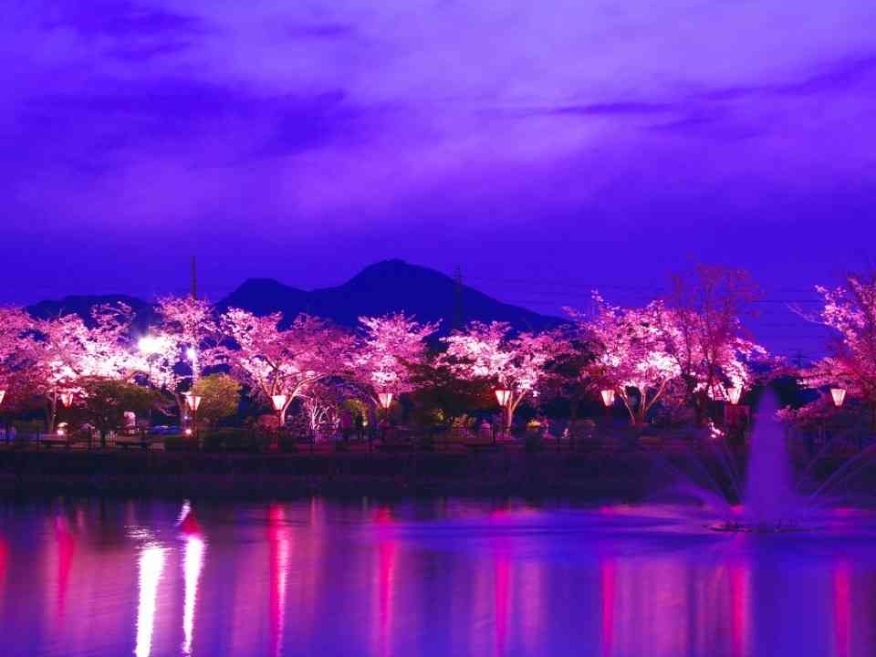 季節外れの挨拶と素敵な画像ください