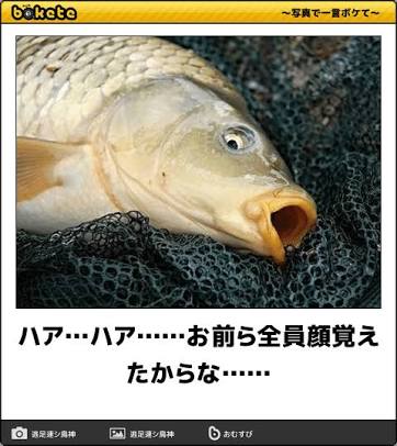 GW自宅組恒例！『ボケて祭り』