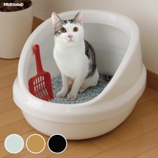 皆さんのトイレ見せて下さい！！