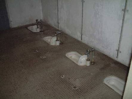 皆さんのトイレ見せて下さい！！