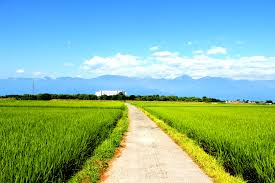 夏の観光地の画像を貼っていくトピ