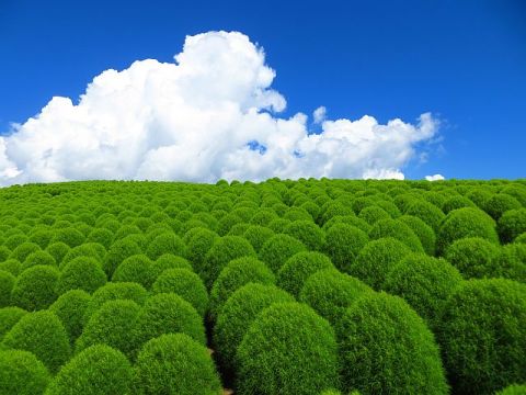 夏の観光地の画像を貼っていくトピ
