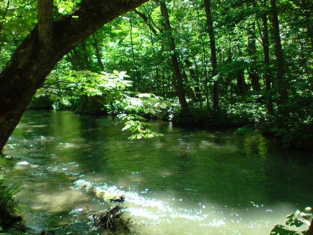 夏の観光地の画像を貼っていくトピ