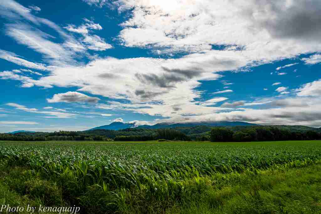 夏の観光地の画像を貼っていくトピ