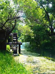 夏の観光地の画像を貼っていくトピ