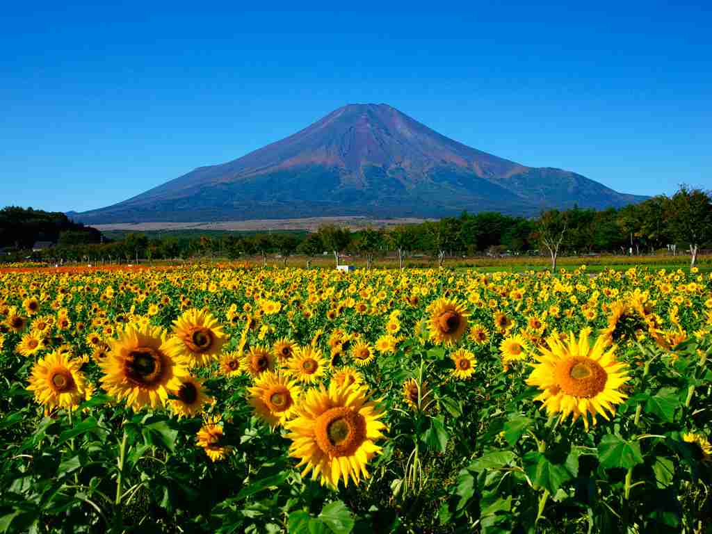 夏の観光地の画像を貼っていくトピ
