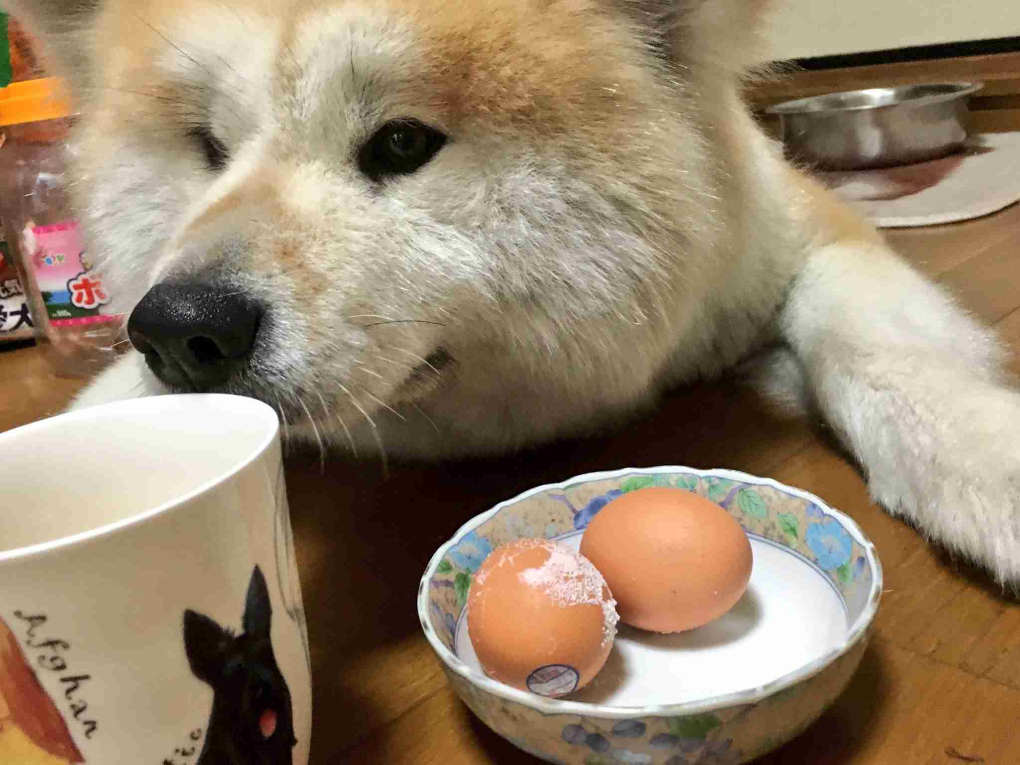 木村拓哉、着物女優をエスコートせず　レッドカーペット階段「ひとり飄々と」