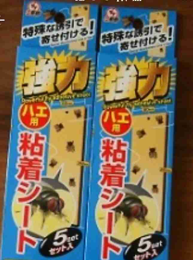 コバエと戦ってる人集まれ