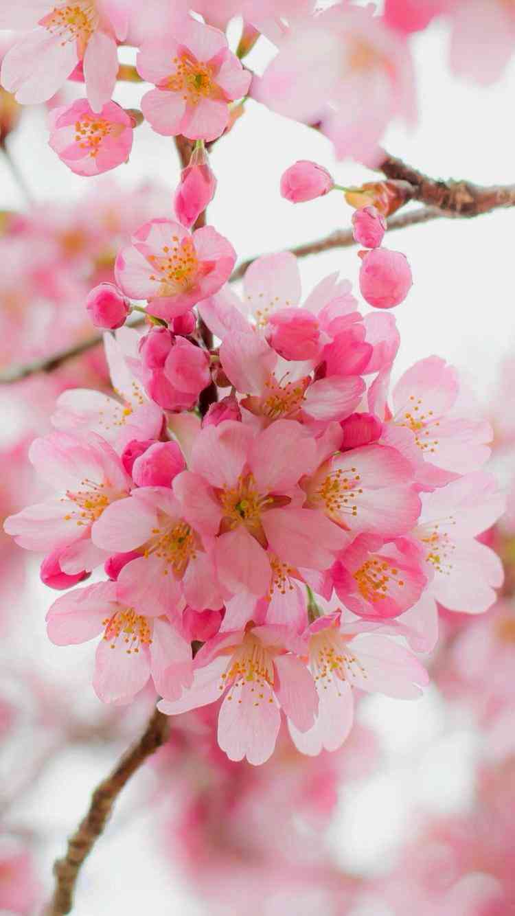 【惚気注意！荒らし僻み厳禁！】最近お付き合いが始まった方【お花畑全開】