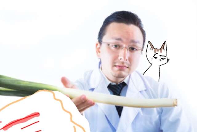 【お絵描き・コラ】仔猫を拾ったのですが懐いてくれません。助けてください【ネタトピ】