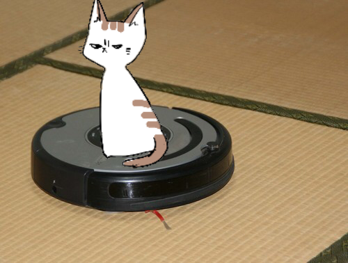 【お絵描き・コラ】仔猫を拾ったのですが懐いてくれません。助けてください【ネタトピ】