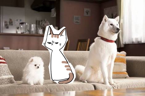 【お絵描き・コラ】仔猫を拾ったのですが懐いてくれません。助けてください【ネタトピ】