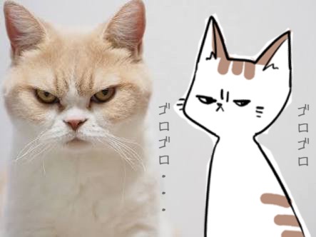 【お絵描き・コラ】仔猫を拾ったのですが懐いてくれません。助けてください【ネタトピ】