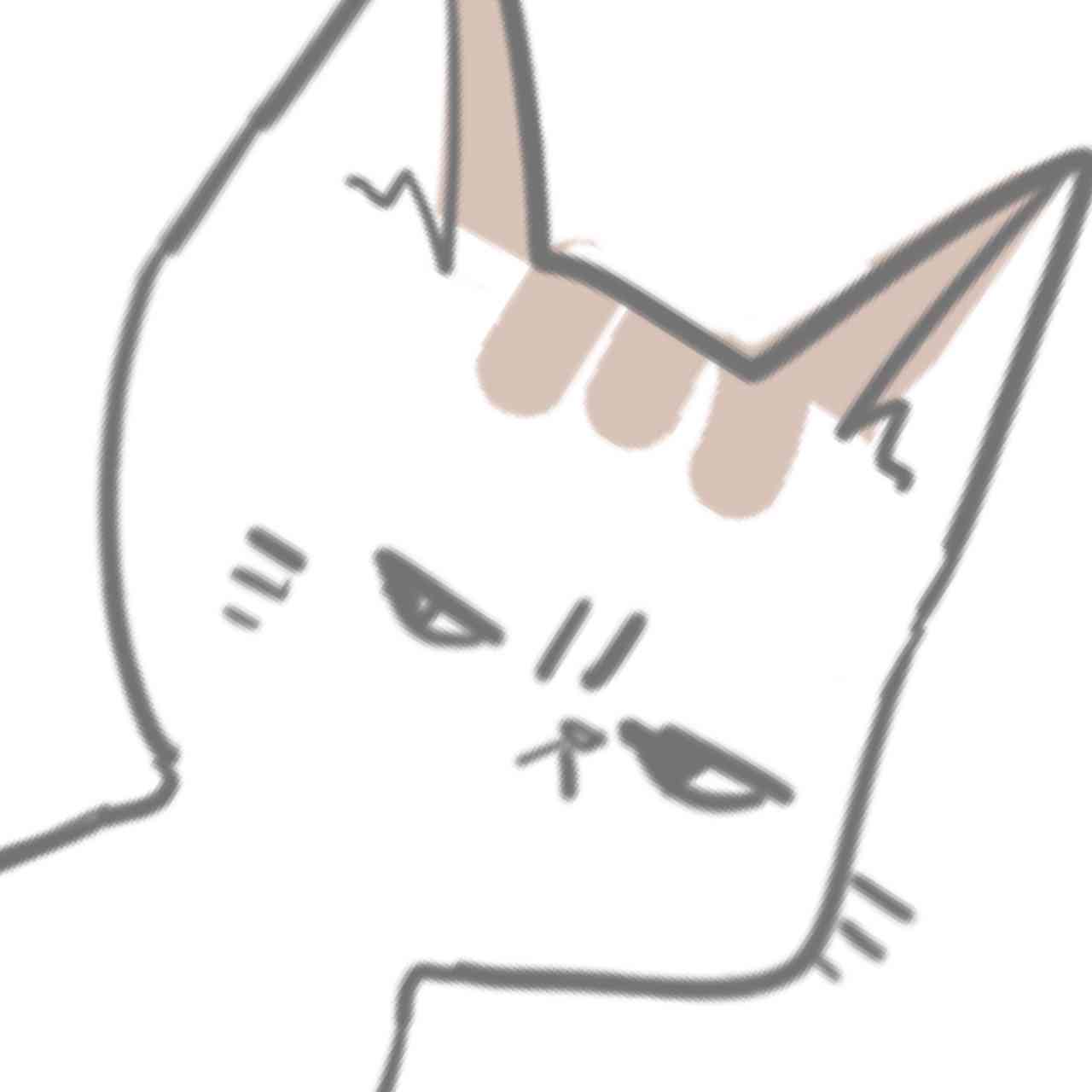 【お絵描き・コラ】仔猫を拾ったのですが懐いてくれません。助けてください【ネタトピ】