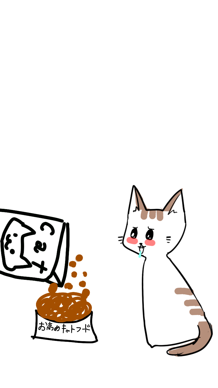 【お絵描き・コラ】仔猫を拾ったのですが懐いてくれません。助けてください【ネタトピ】