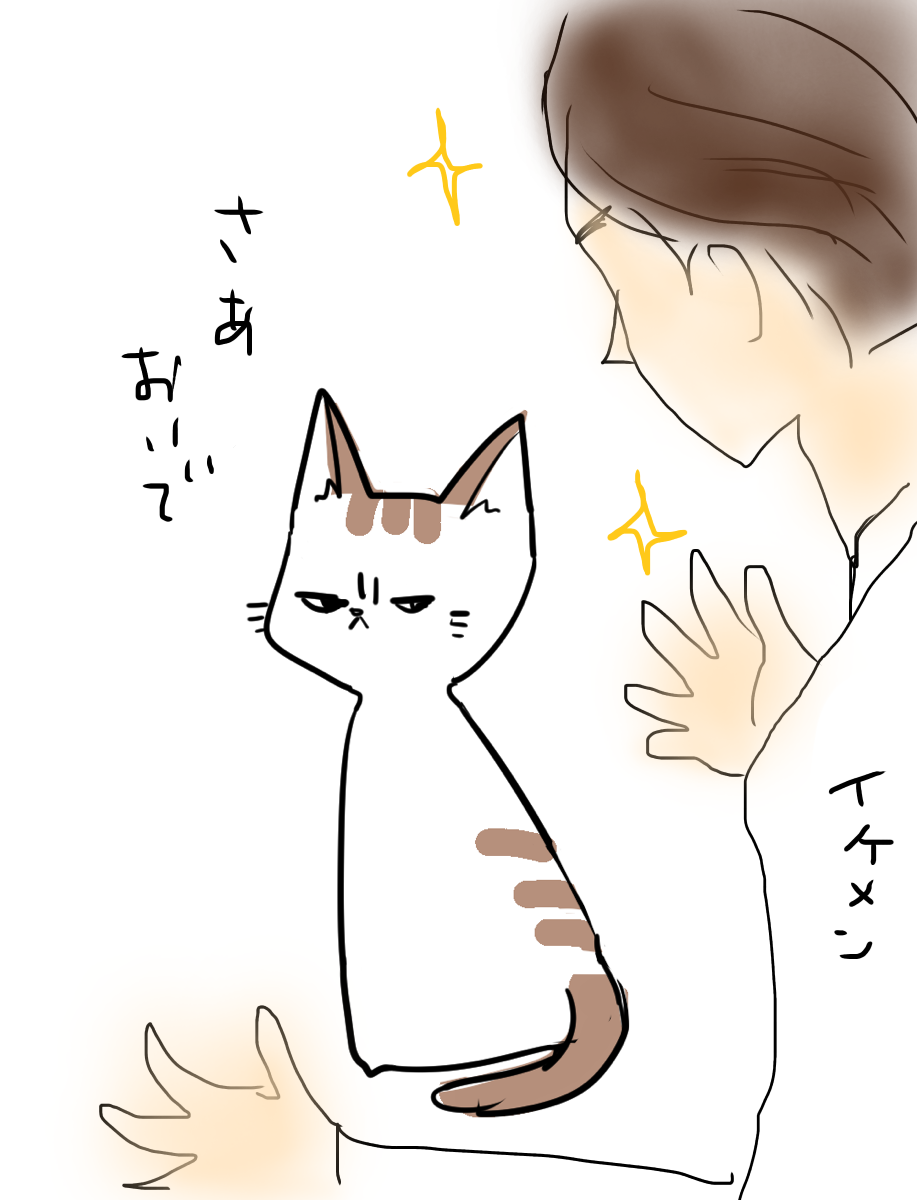 【お絵描き・コラ】仔猫を拾ったのですが懐いてくれません。助けてください【ネタトピ】