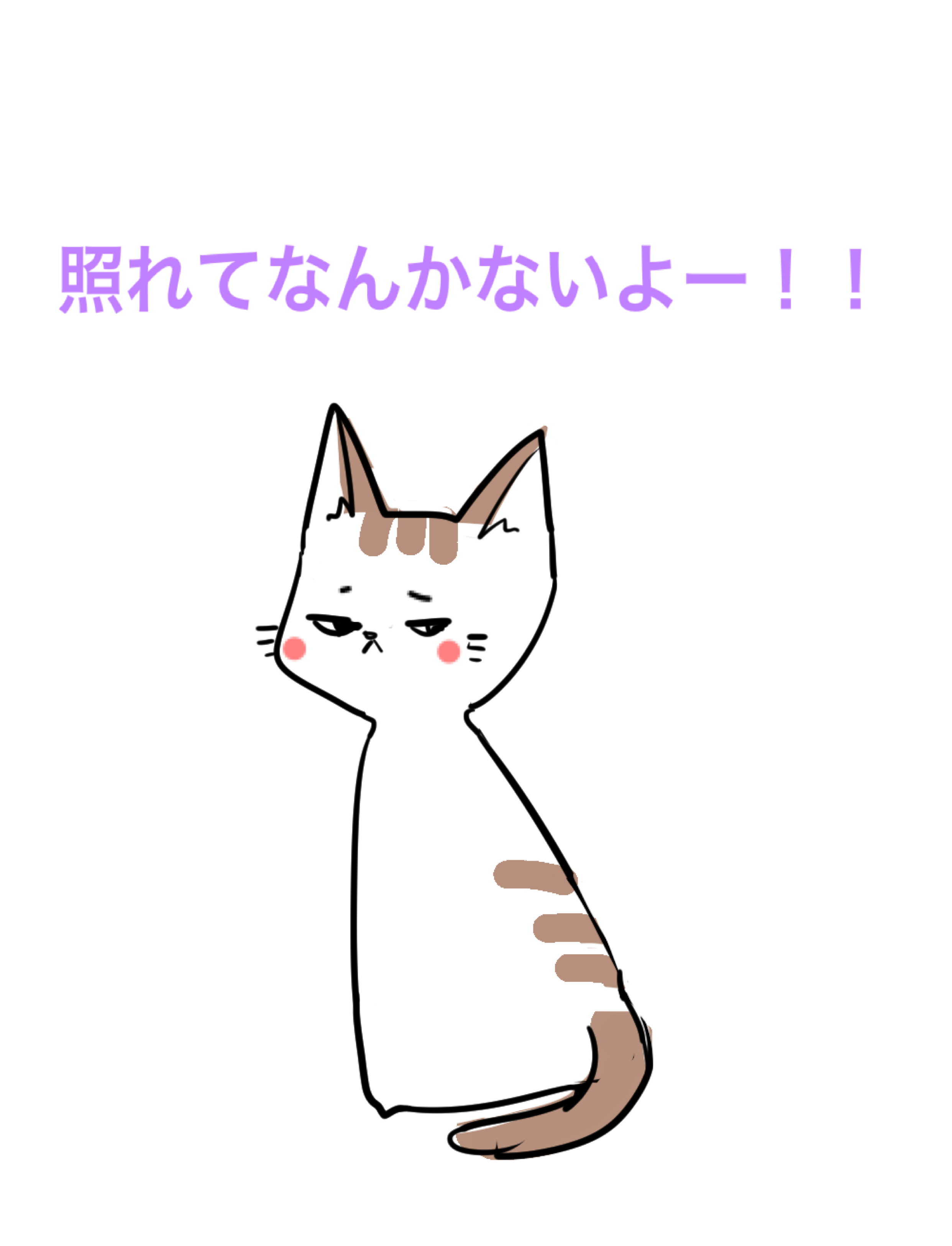【お絵描き・コラ】仔猫を拾ったのですが懐いてくれません。助けてください【ネタトピ】