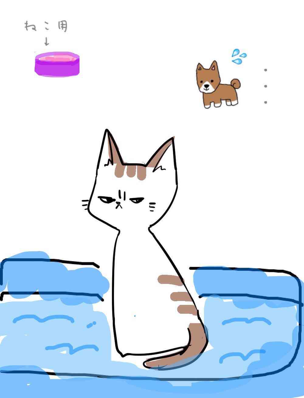 【お絵描き・コラ】仔猫を拾ったのですが懐いてくれません。助けてください【ネタトピ】