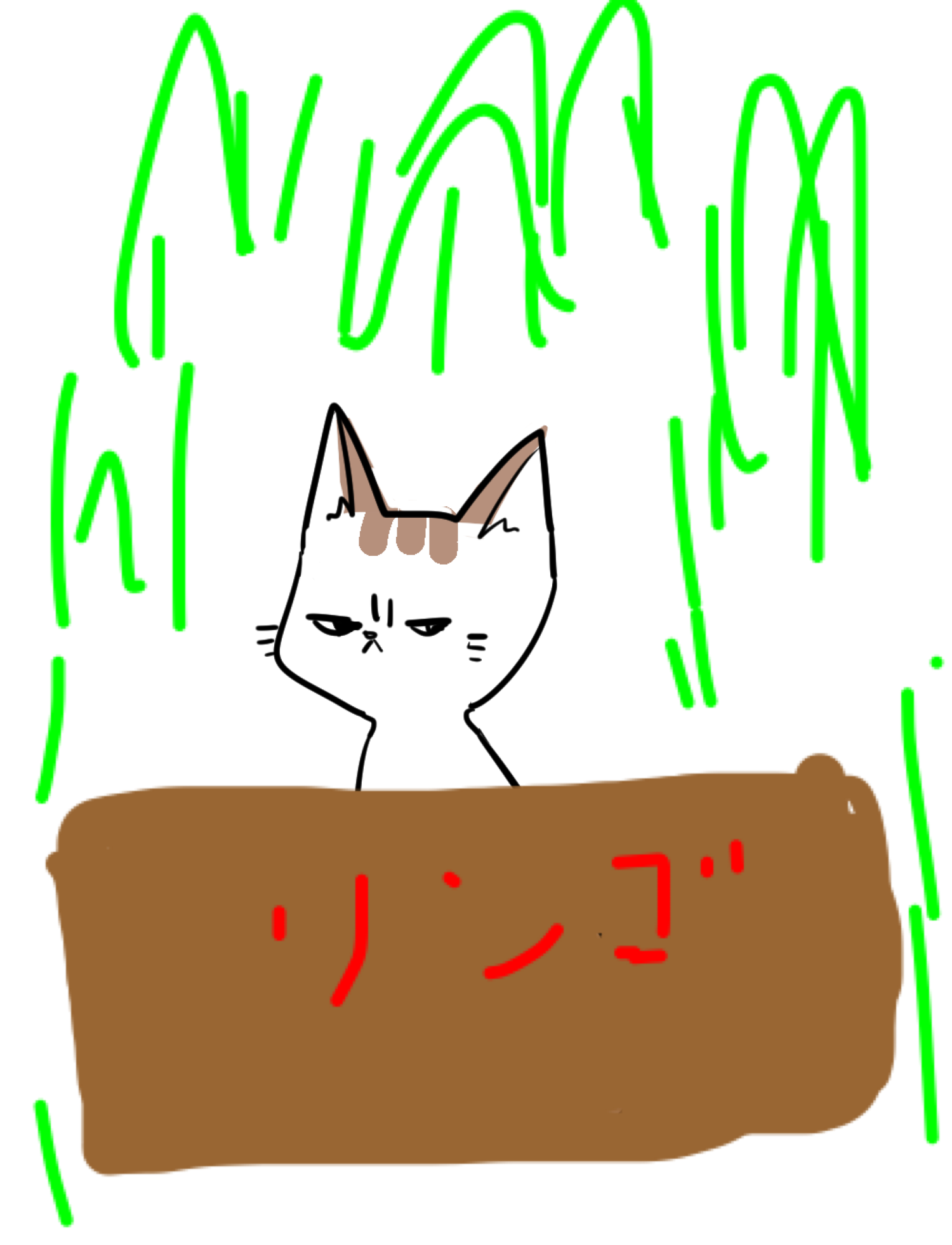 【お絵描き・コラ】仔猫を拾ったのですが懐いてくれません。助けてください【ネタトピ】