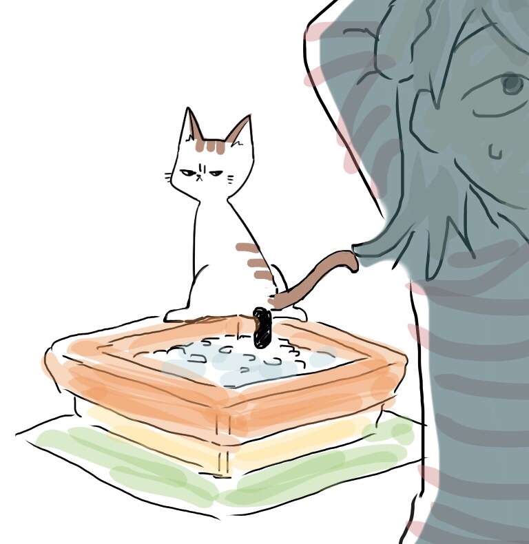 【お絵描き・コラ】仔猫を拾ったのですが懐いてくれません。助けてください【ネタトピ】