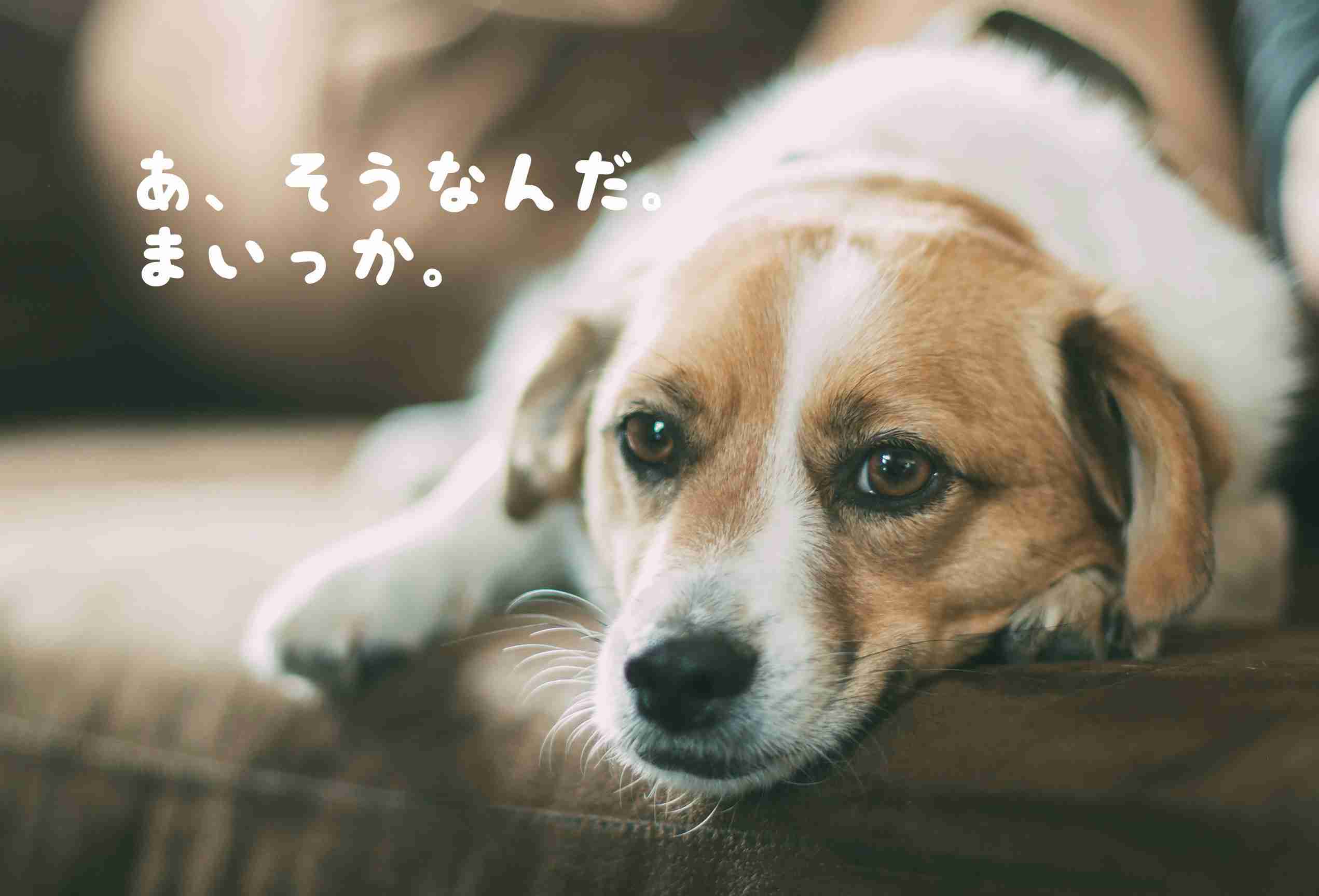 郷ひろみ、生放送で「どうしてかっこいいの?」の質問に「高須院長を知っているから」