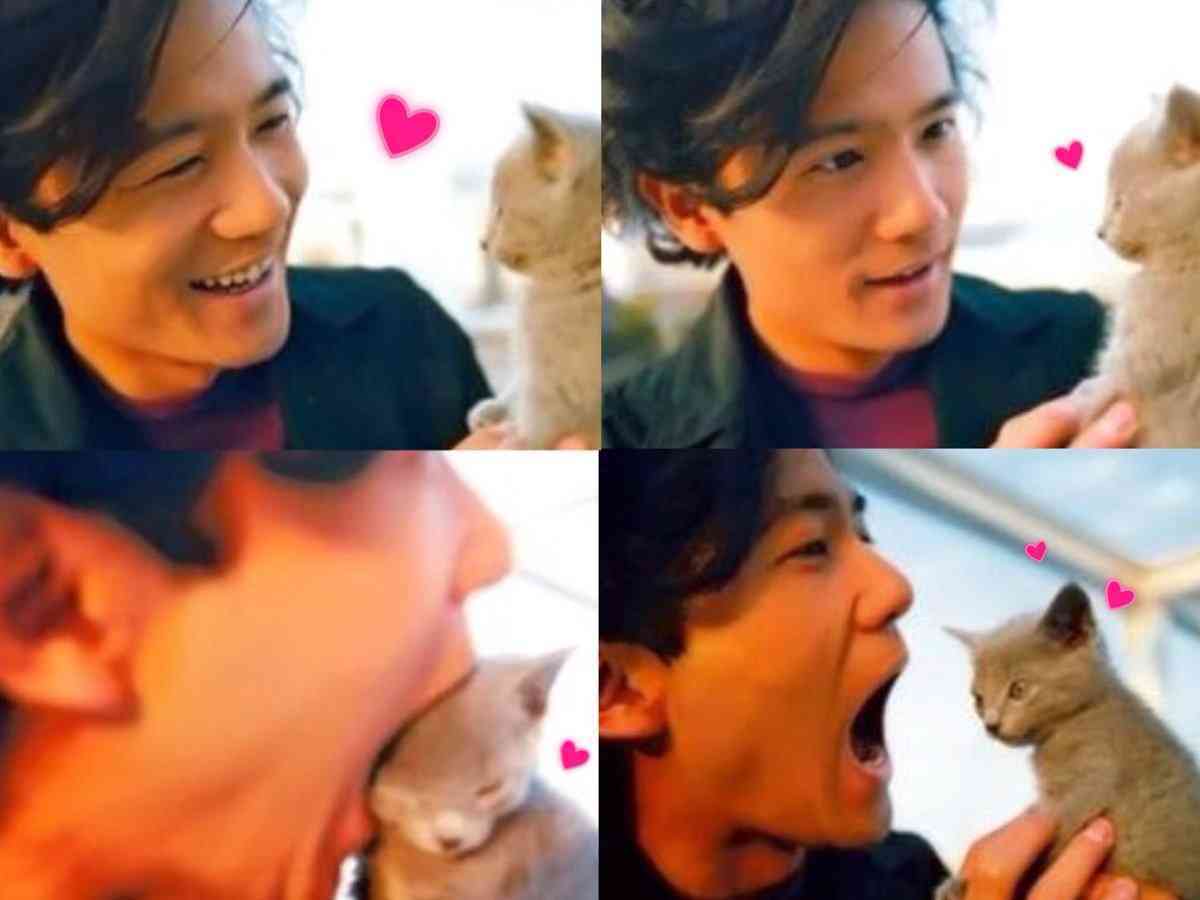 芸能人の優しい微笑みの画像トピ