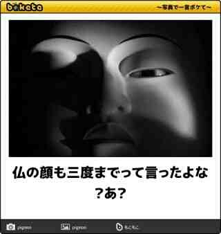 モノトーン画像を貼るトピ