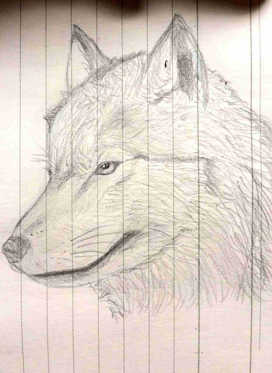 アナログでお絵描きするトピ