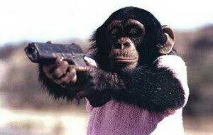 動物画像で時代劇を作るトピ