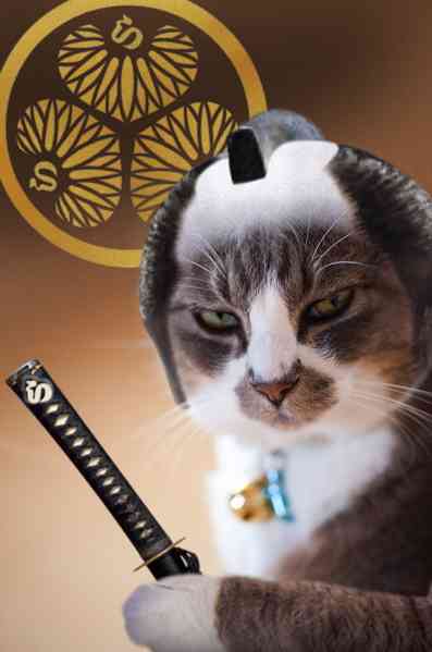 動物画像で時代劇を作るトピ