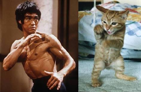 動物画像で時代劇を作るトピ