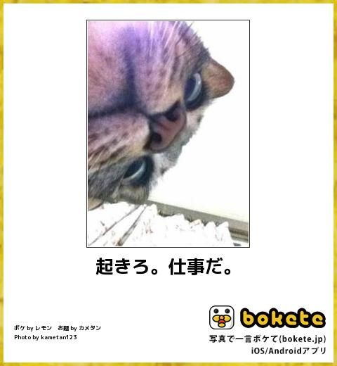 動物画像で時代劇を作るトピ