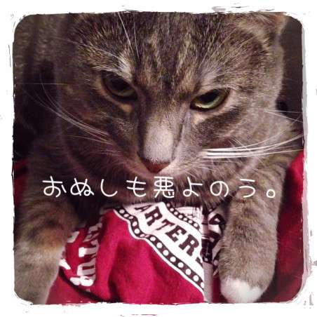 動物画像で時代劇を作るトピ