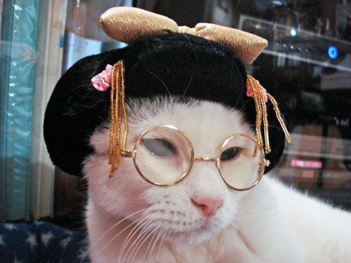 動物画像で時代劇を作るトピ
