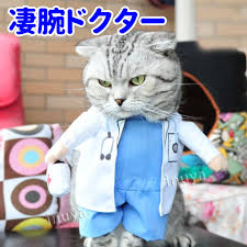 動物画像で時代劇を作るトピ