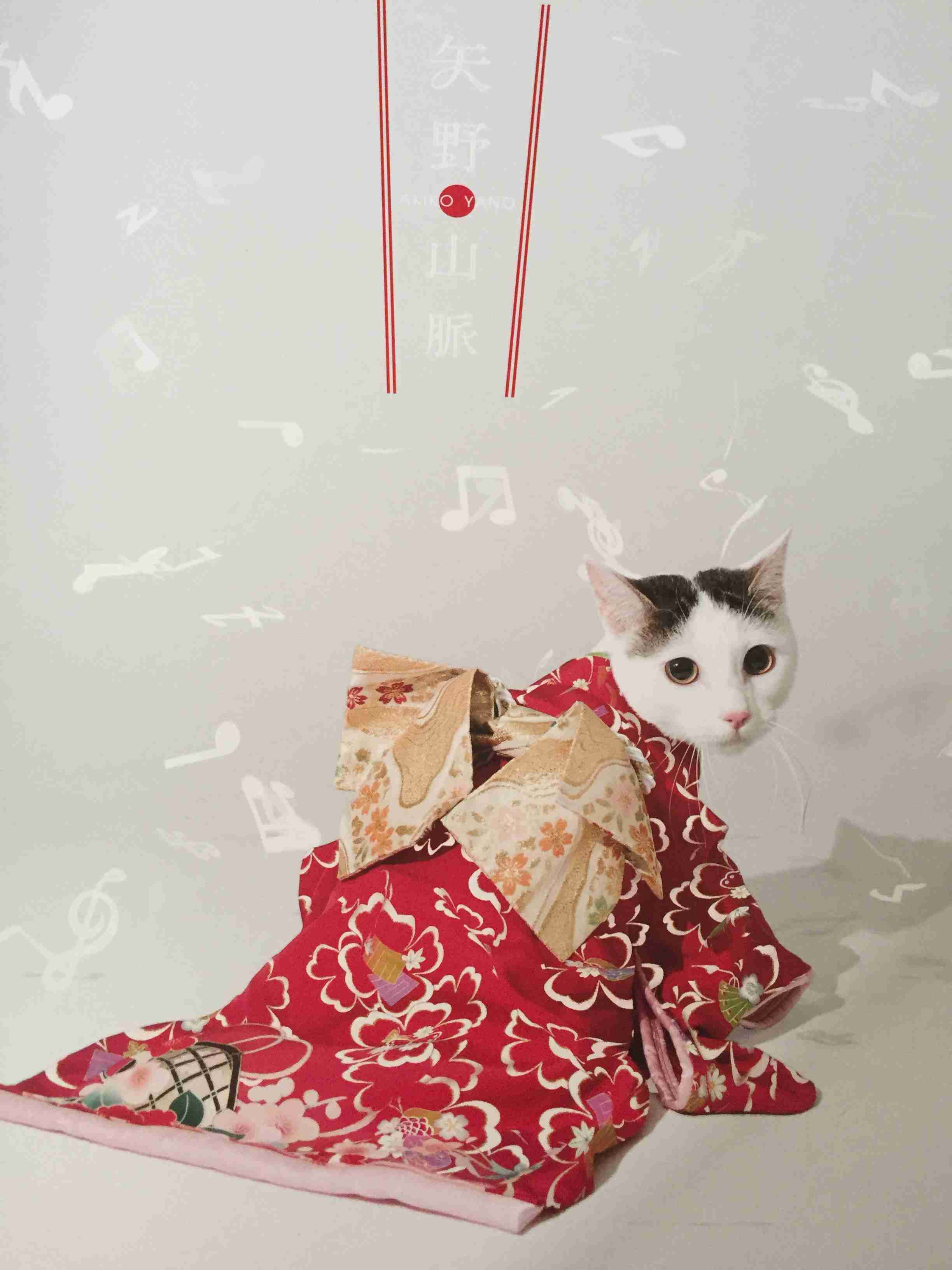動物画像で時代劇を作るトピ
