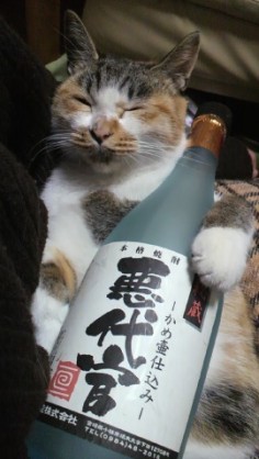 動物画像で時代劇を作るトピ