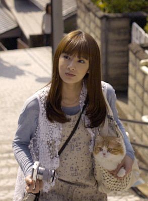 いろんな北川景子が見たい