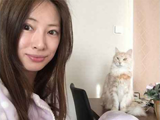 いろんな北川景子が見たい