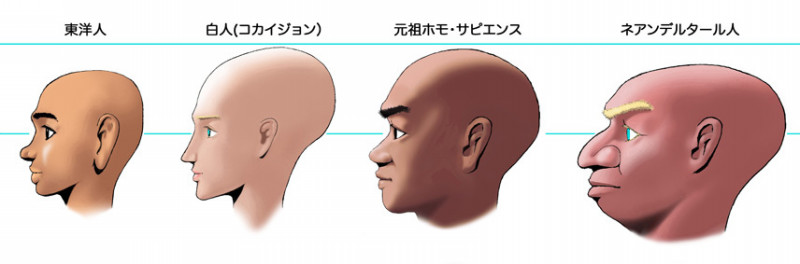 頭の形がコンプレックスの人