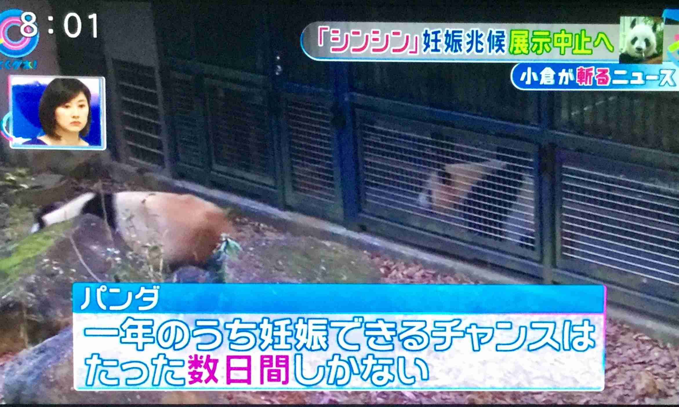 菊川怜結婚にみるアラフォーから結婚する人・独身の人の違い