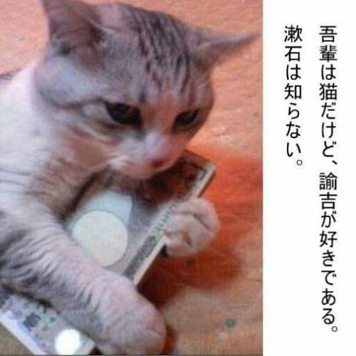 今日給料日だった方!
