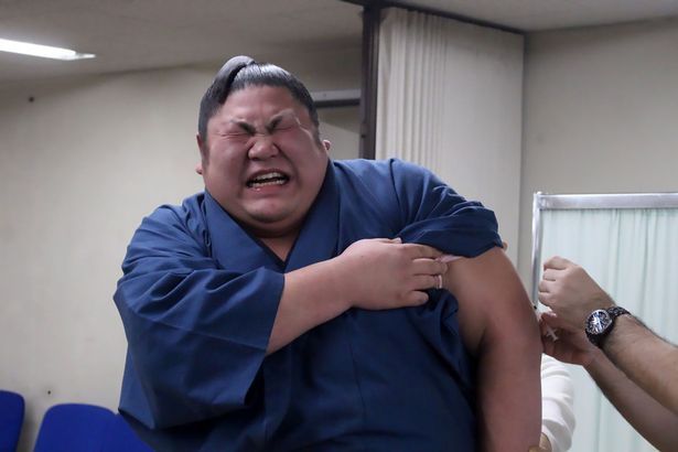 お相撲さんアルバムーいただきます編part2ー