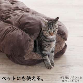 ペット情報交換所