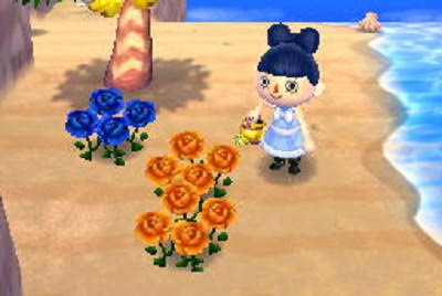 薔薇の花好きな人