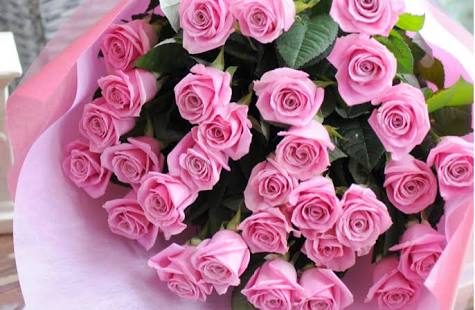 薔薇の花好きな人