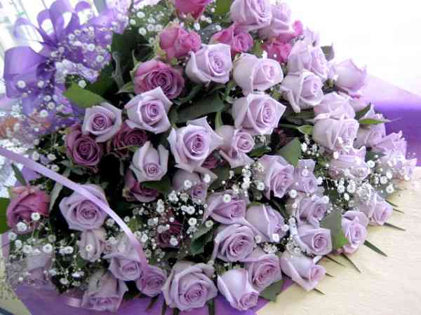 薔薇の花好きな人