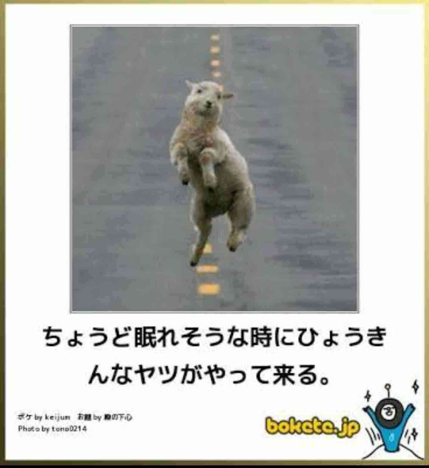 【画像】最近がるちゃんでスクショor保存した画像