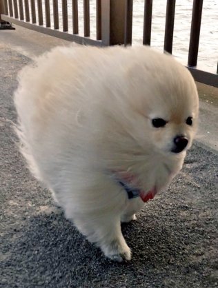 【画像】最近がるちゃんでスクショor保存した画像